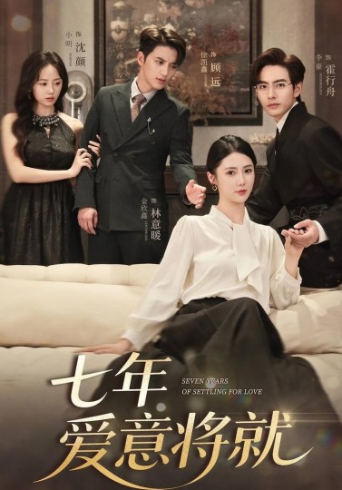 七年爱意将就